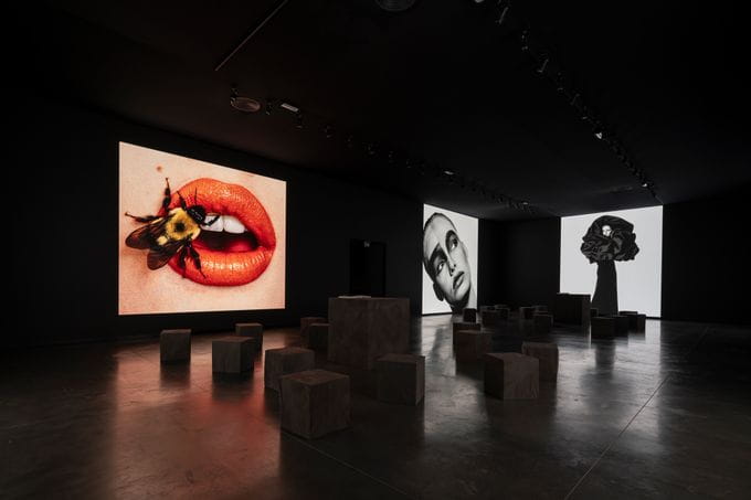 Espacio expositivo Irving Penn: Centennial | Fundación MOP