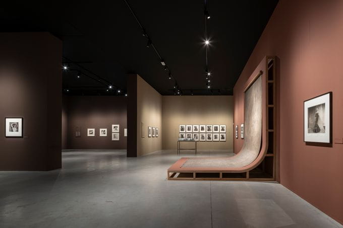 Espacio expositivo Irving Penn: Centennial | Fundación MOP