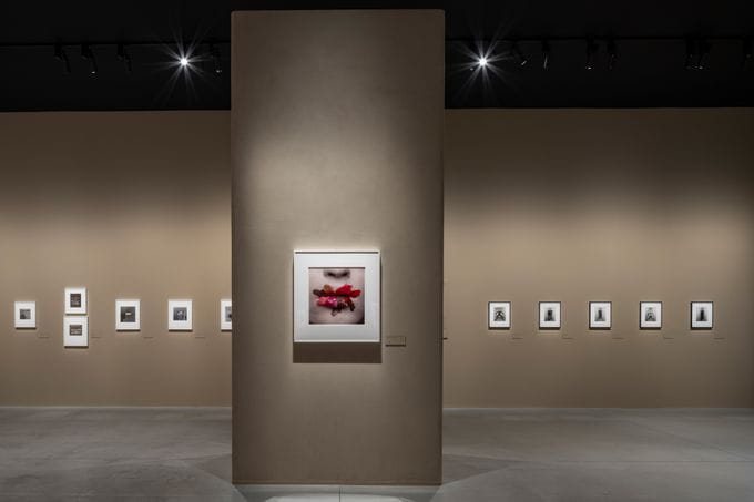 Espacio expositivo Irving Penn: Centennial | Fundación MOP