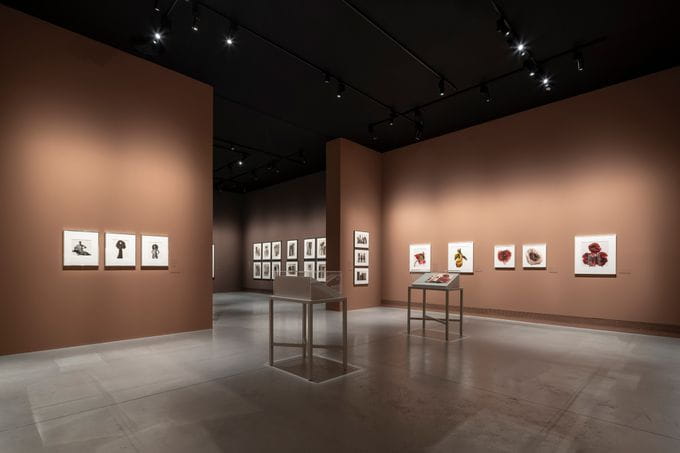 Espacio expositivo Irving Penn: Centennial | Fundación MOP