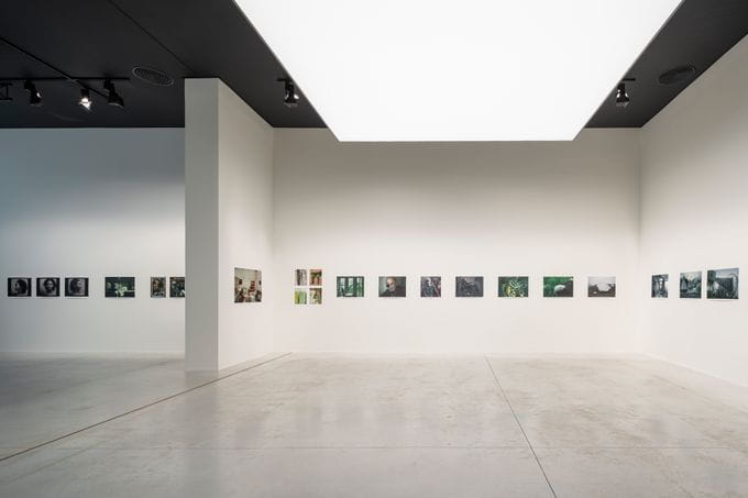 Espacio expositivo Wonderland – Fundación MOP